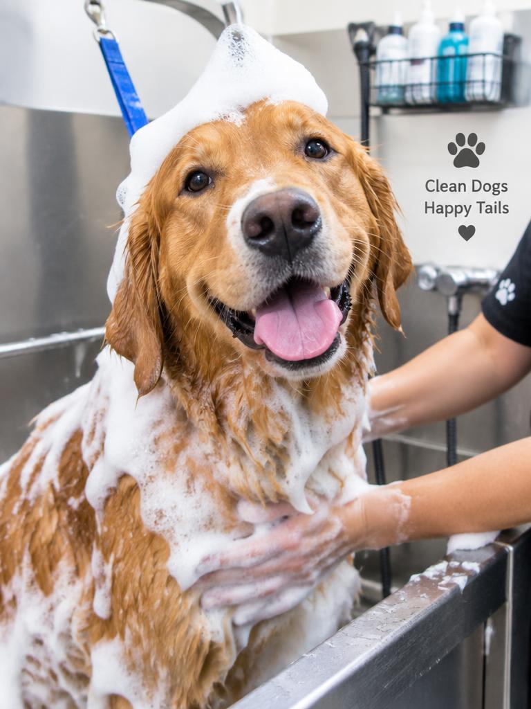 Happy dog during bath time